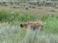 2012-07-28 01.19.29.jpg