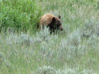 2012-07-28 01.21.15.jpg