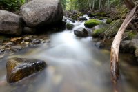 Example unprocessed2.jpg