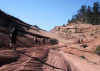 DSCF6230.jpg DSCF6230.jpg