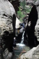 DSCF6275.jpg DSCF6275.jpg