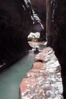 DSCF6277.jpg DSCF6277.jpg