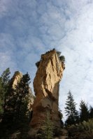 IMG_3040.jpg IMG_3040.jpg