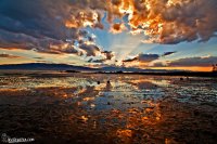 IMG_7077.jpg IMG_7077.jpg