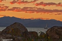 IMG_7151.jpg IMG_7151.jpg