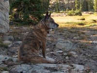 weir-island-uintas-5.jpg