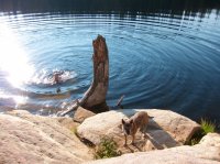 weir-island-uintas-10.jpg