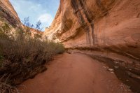 smith-fork-bcp-12.jpg smith-fork-bcp-12.jpg