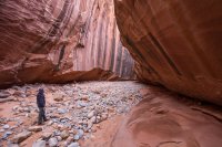 smith-fork-bcp-15.jpg smith-fork-bcp-15.jpg