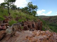 2016-01-14 11.23.02.jpg 2016-01-14 11.23.02.jpg