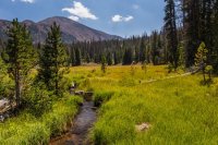 _MG_1771.jpg _MG_1771.jpg