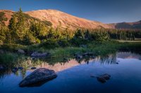 _MG_1804.jpg _MG_1804.jpg