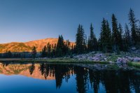 _MG_1833-HDR.jpg _MG_1833-HDR.jpg