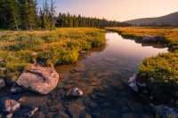 _MG_1935.jpg _MG_1935.jpg