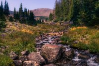 _MG_1946.jpg _MG_1946.jpg