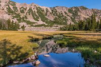 _MG_1951.jpg _MG_1951.jpg