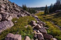 _MG_1960.jpg _MG_1960.jpg