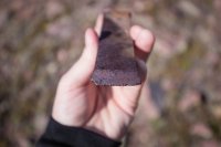 _MG_1995.jpg _MG_1995.jpg