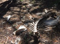 IMG_4555.jpg IMG_4555.jpg