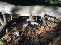 IMG_4561.jpg IMG_4561.jpg