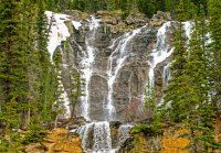 IMG_2665 - Jasper - Tangle Falls.jpg