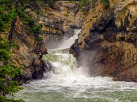 IMG_2713 - Jasper - Sunwapta Falls.jpg
