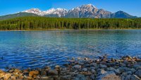 IMG_2894 - Jasper - Patricia Lake_stitch.jpg