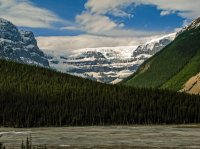 IMG_2941 - Jasper.jpg