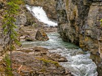 IMG_3004 - Jasper - Beauty Creek.jpg