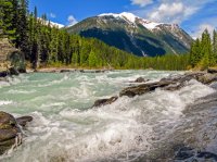 IMG_3372 - Kootenay.jpg