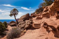 arches-isky-md-7.jpg arches-isky-md-7.jpg