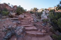 IMG_1306.jpg IMG_1306.jpg