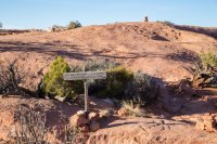 IMG_1310.jpg IMG_1310.jpg