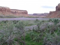 Utah Indian Creek April Bloom.jpg Utah Indian Creek April Bloom.jpg