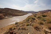 IMG_5312.jpg IMG_5312.jpg