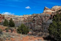 Escalante Spring Break Pt 1-1.jpg