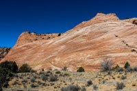 Escalante Spring Break Pt 1-43.jpg Escalante Spring Break Pt 1-43.jpg