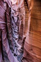 Escalante Spring Break Pt 1-60.jpg