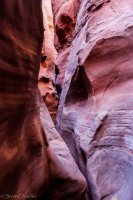 Escalante Spring Break Pt 1-77.jpg