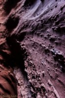 Escalante Spring Break Pt 1-84.jpg