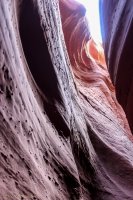 Escalante Spring Break Pt 1-91.jpg