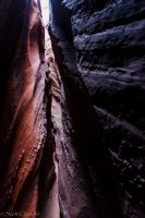 Escalante Spring Break Pt 1-96.jpg