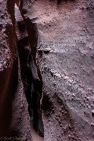 Escalante Spring Break Pt 1-97.jpg