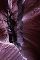 Escalante Spring Break Pt 1-102.jpg