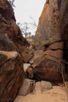 IMG_5110.JPG IMG_5110.JPG