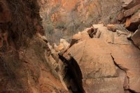 IMG_5111.JPG IMG_5111.JPG