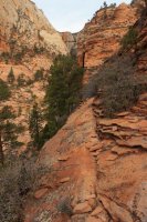 IMG_5121.JPG IMG_5121.JPG