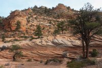 IMG_5127.JPG IMG_5127.JPG