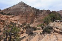 IMG_5136.JPG IMG_5136.JPG