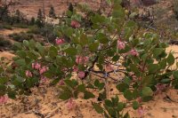 IMG_5141.JPG IMG_5141.JPG